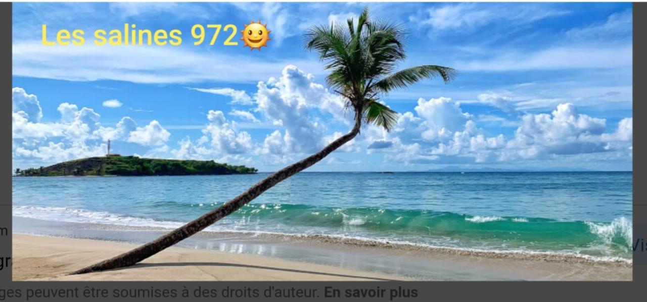 Residence Kay Mamy Zet Le François المظهر الخارجي الصورة